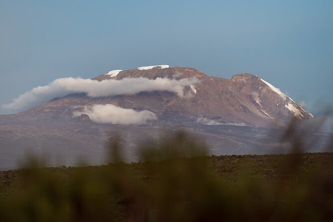 Kilimanjaro climb, Machame Route (7-day) - Mweka Gate Finish: The Relief Day, Plus Certificates and a Real Ending