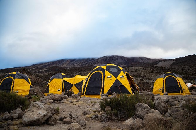 Kilimanjaro climb, Machame Route (7-day) - Shira Plateau to Lava Tower Acclimatization: Views Early, Climbing Smart Always