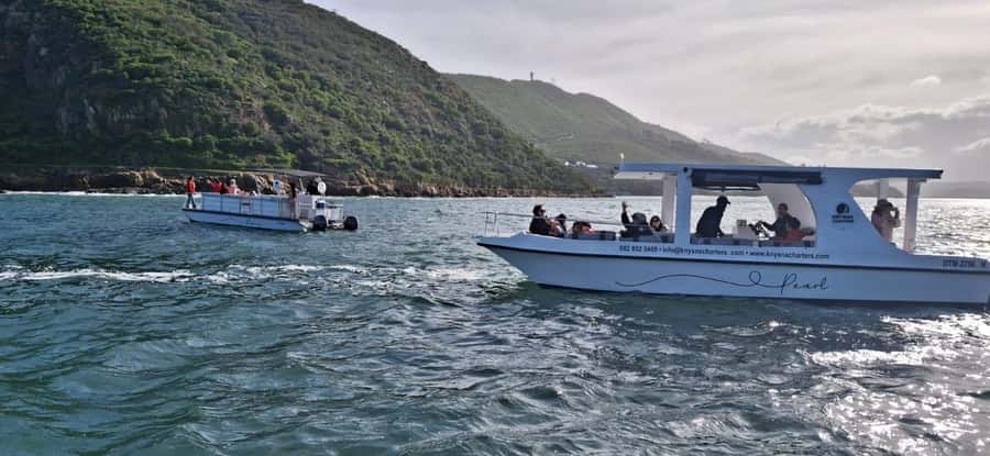 Knysna: 75-Minute Lagoon Boat Cruise - On board the cruise: what the 75 minutes actually feels like