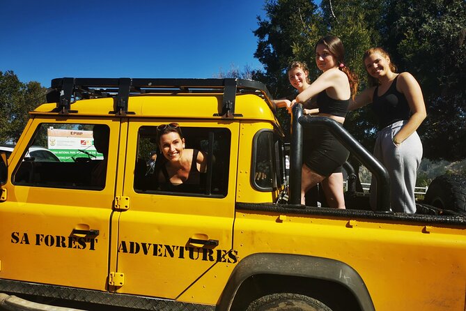Knysna Ziplines Tour - Views of Knysna: Ocean, Valley, and Gorge Geometry