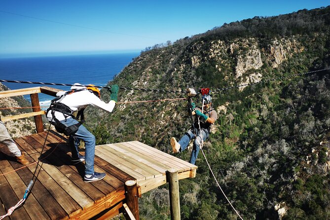 Knysna Ziplines Tour - Price and Value: Is $48.89 a Fair Deal?