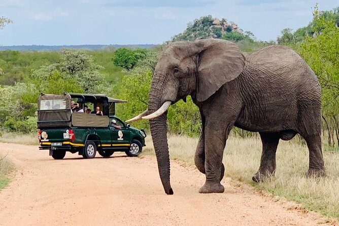 Kruger National Park Full Day Private safari - Timing, Comfort, and Photo Planning (Stuff That Actually Helps)