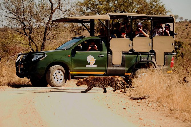 Kruger National Park Full Day Private safari - Your Private Guide: The Real Engine for Big Five Chances