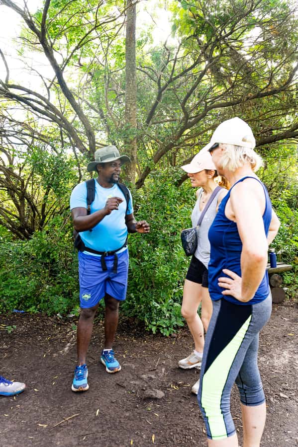 Le Morne Brabant: UNESCO Mountain Hike & Local Guides - Summit Views That Actually Feel Like an Achievement