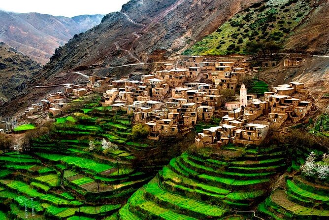Lunch in the High Atlas: Ourika Valley Waterfalls & 3 Valleys - From Marrakech to the High Atlas: argan oil and breakfast that starts the day right