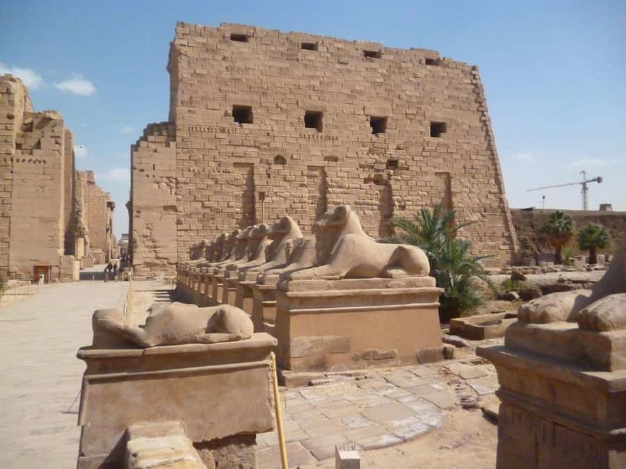 Luxor: West and East Banks All-Inclusive Tour & Balloon Ride - The guide and driver matter more than you think