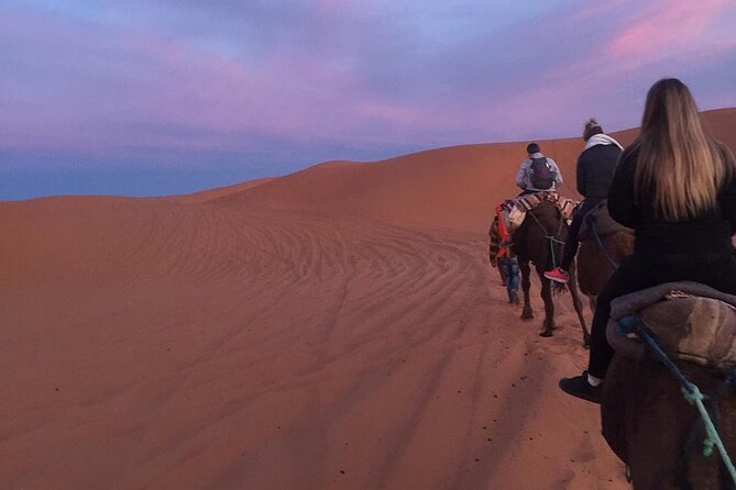 Luxury 2-Days Desert Trip from Fes to.:( fes or marakech) - Price and logistics: is $139 per person good value?