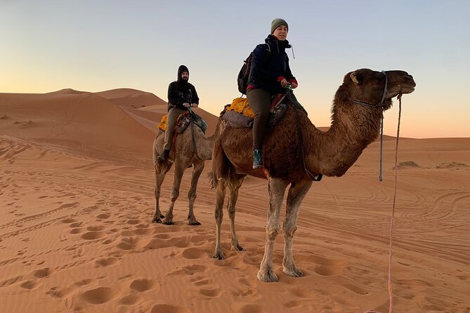 Luxury 2-Days Desert Trip from Fes to.:( fes or marakech) - Who should book this and who should think twice