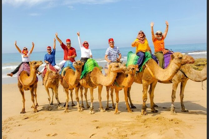 luxury 4 Hour Private Tour of Tangier - Quick highlights you will actually use