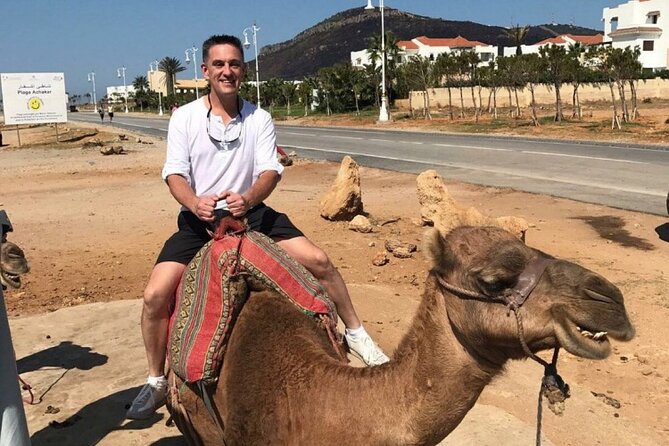 luxury 4 Hour Private Tour of Tangier - Mohammed V Mosque and Marshan Palace: where Tangier shows its modern face