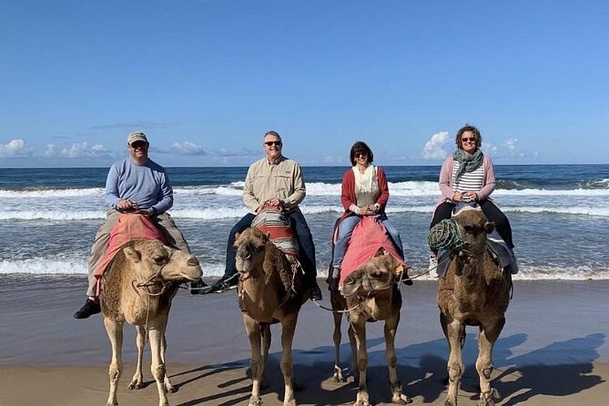 luxury 4 Hour Private Tour of Tangier - Parc Perdicaris: history with a “wait, what happened?” twist