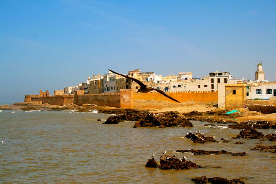 Luxury day trip to Essaouira from Marrakech - Price and Value: Why $34 Can Make Sense for This Kind of Day Trip