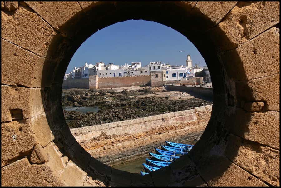 Luxury day trip to Essaouira from Marrakech - The Argan Stops: Goats, Women’s Cooperatives, and Morocco Made Practical