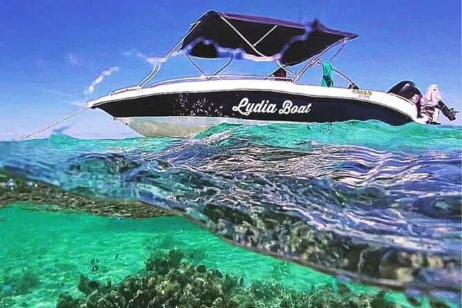 Lydia Boat Mauritius :Private boat tour:Whales&Dolphins encounter - Why This Private Dolphin-and-Whale Day Feels Worth It