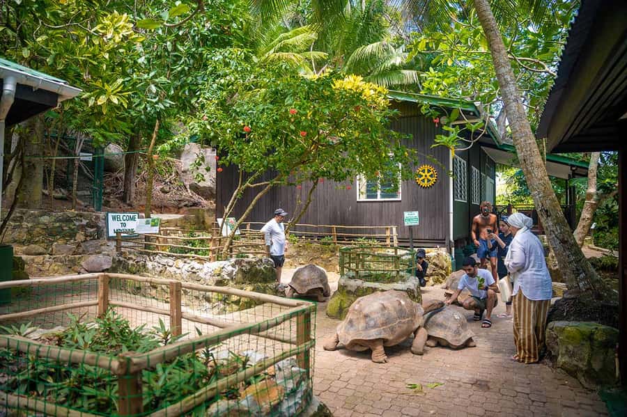 Mahé: Saint-Anne Marine Park and Moyenne Island Cruise - Ste. Anne Marine Park + Moyenne Island: the best combo for a 7-hour schedule