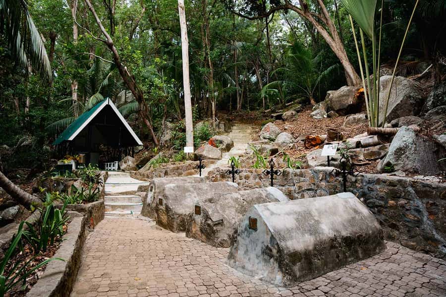 Mahé: Saint-Anne Marine Park and Moyenne Island Cruise - Moyenne Island: tortoises, guided forest walks, and photo time