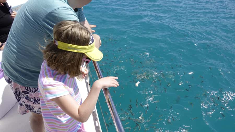 Mahe: St.Anne Marine National Park Reef Safari with Lunch - Key highlights you’ll actually notice