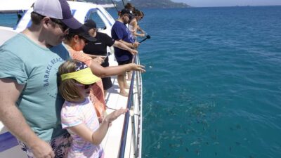 Mahe: St.Anne Marine National Park Reef Safari with Lunch - St. Anne Marine National Park: how the boat time works