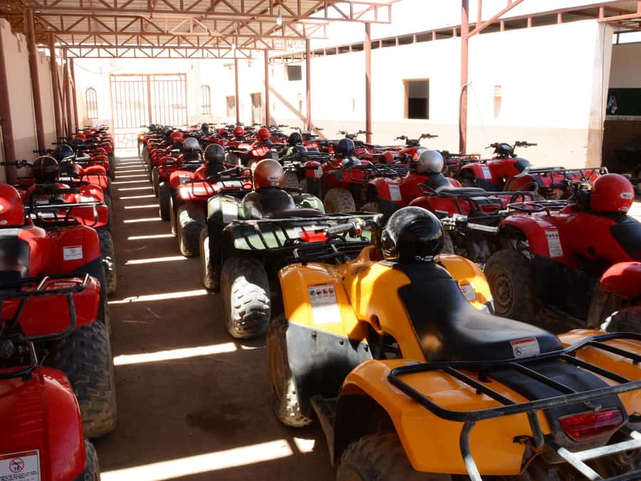 Makadi Bay: Sunset Quad & ATV Adventure & Seaview - The Camel Ride and Photo Stops: Small, Fun, and Fast