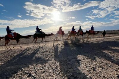 Marrakech: 1 Day Tour-Best of the Atlas Mountains &Three Valleys - Camel ride into the mountains and that first mint tea