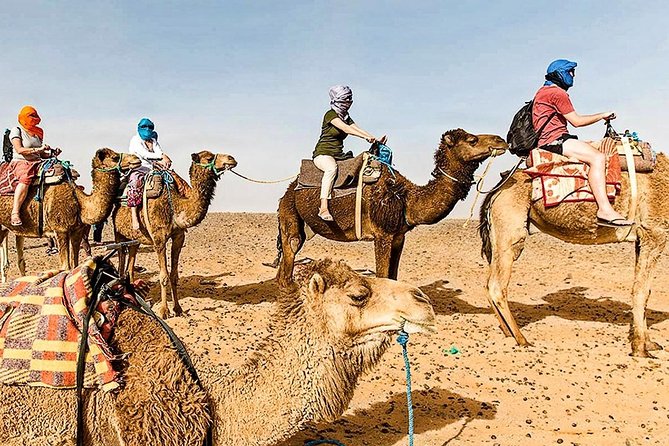 Marrakech: 1 Day Tour-Best of the Atlas Mountains &Three Valleys - High Atlas Mountains viewpoints and the Moulay Brahim Toubkal look