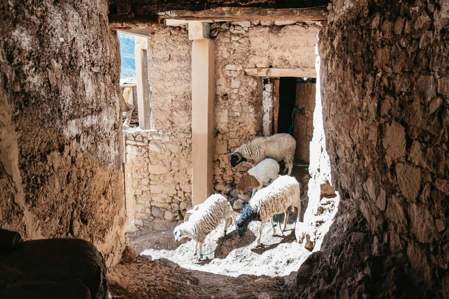 Marrakech: 2-Day Atlas Mountains Trek with Village Stay - Who This Trek Suits (and Who Should Skip It)
