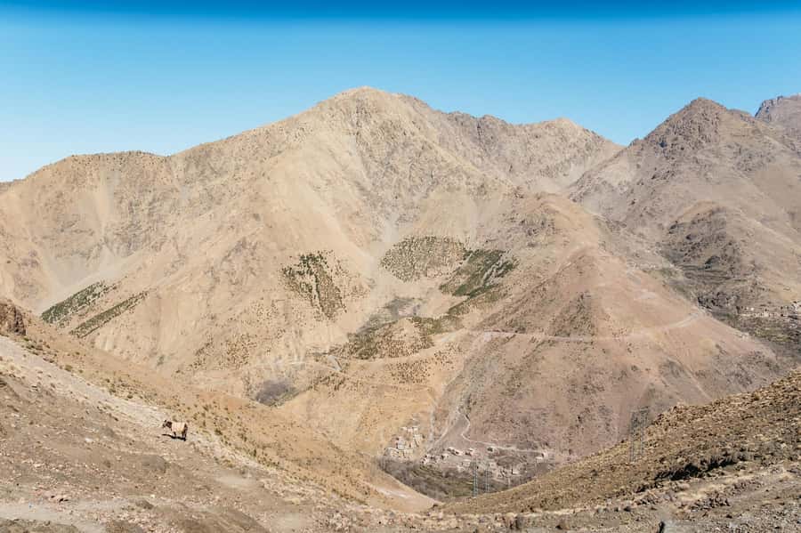 Marrakech: 2-Day Atlas Mountains Trek with Village Stay - Price and Value for $96: What You’re Getting Beyond the Walk