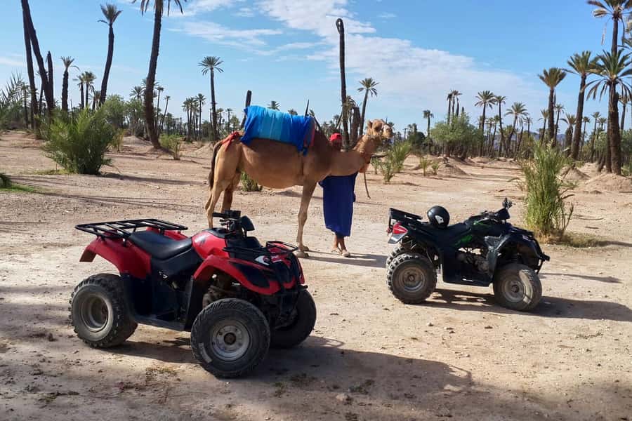 Marrakech: 2-Hour Quad Bike & Camel Ride in Palmeraie - Key Highlights You’ll Actually Feel