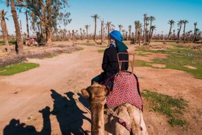 Marrakech: 2-Hour Quad Bike & Camel Ride in Palmeraie - Pickup and Timing: How the 3 Hours Are Split