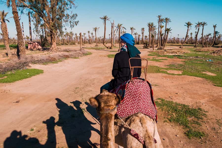 Marrakech: 2-Hour Quad Bike & Camel Ride in Palmeraie - Pickup and Timing: How the 3 Hours Are Split