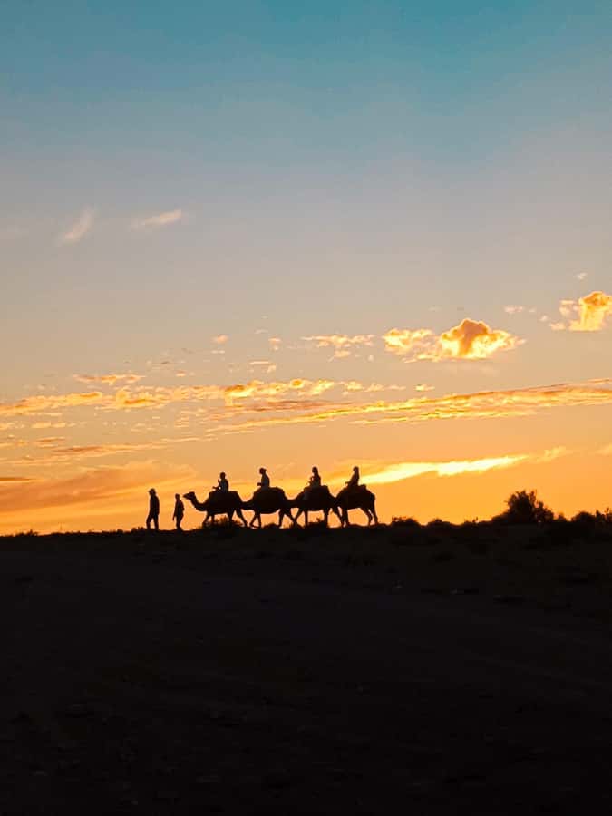 Marrakech: Agafay Camel Ride & Dinner with Fire Show Tour - Key Things I’d Plan Around