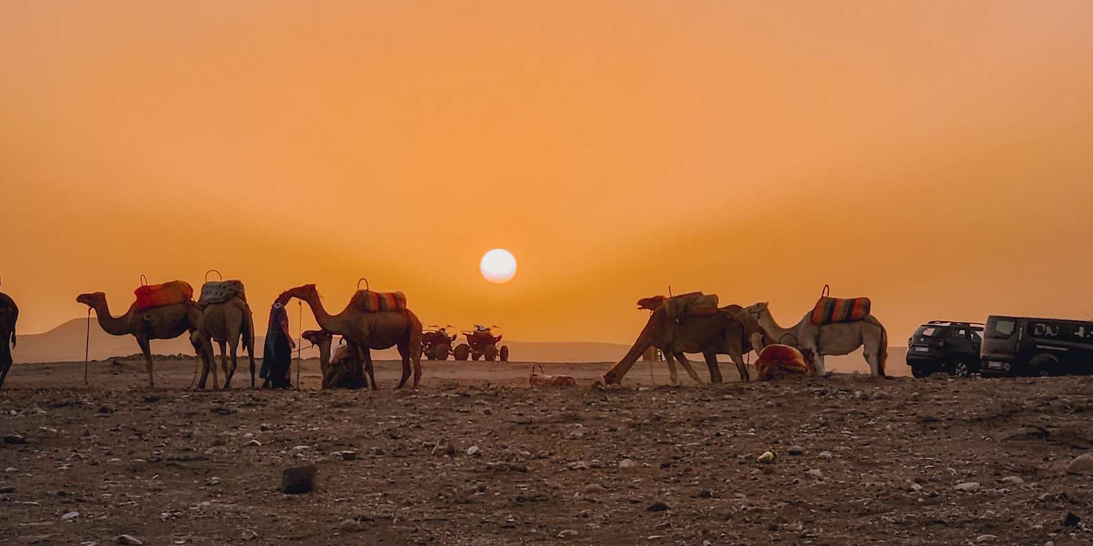Marrakech: Agafay Camel Ride & Dinner with Fire Show Tour - Who This Tour Suits Best