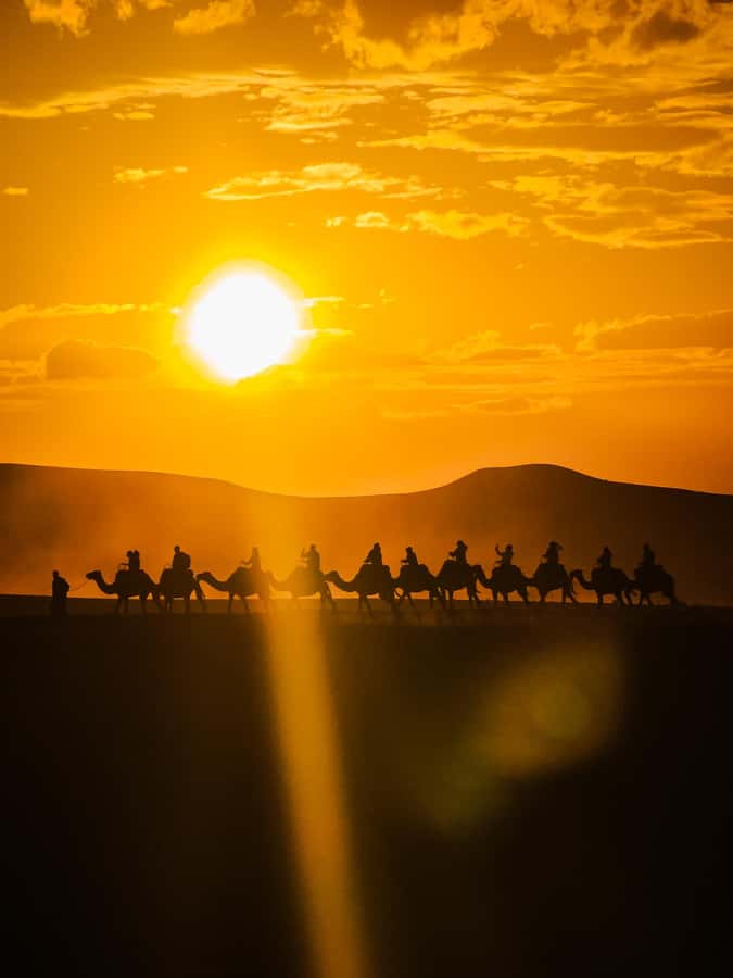 Marrakech: Agafay Camel Ride & Dinner with Fire Show Tour - Hotel Pickup in Marrakech: The Part That Makes It Easy