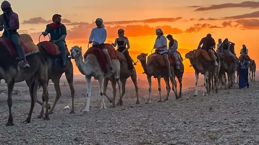 Marrakech: Agafay Desert: Camel ride Quad Bike, Dinner show - Should You Book This Agafay Camel Ride and Dinner Show?