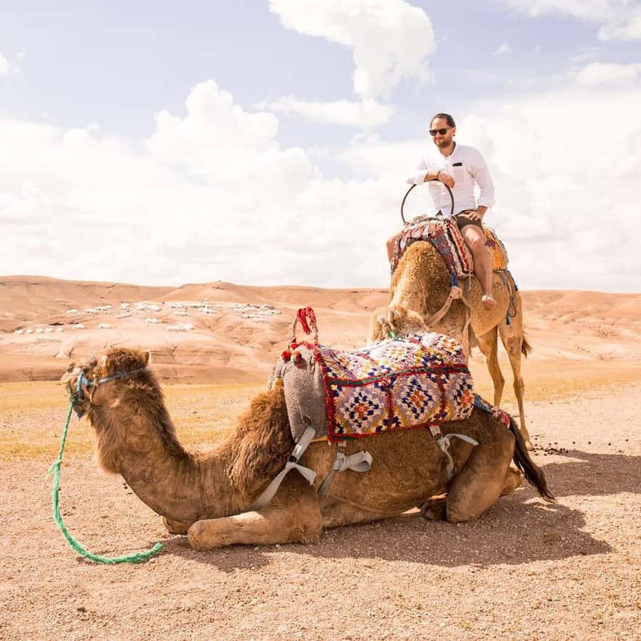 Marrakech: Agafay Desert Dinner with Music and Fire Show - Sunset Views in Agafay: What You’re Really Buying