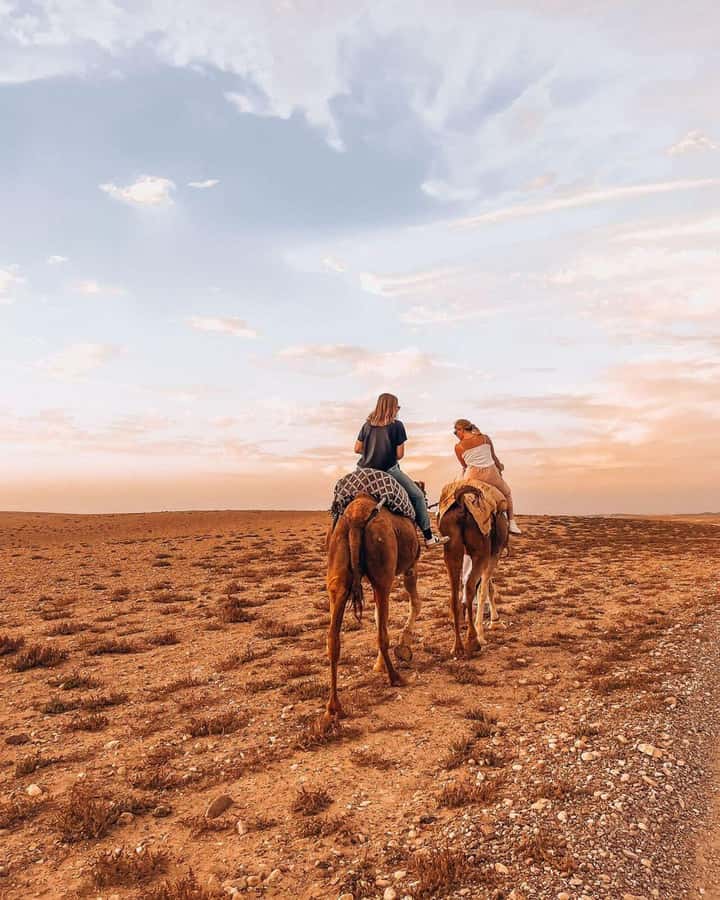 Marrakech: Agafay Desert Escape with Quad or Camel Ride - Dinner in the Agafay camp: tagine, couscous, mint tea, and starry skies