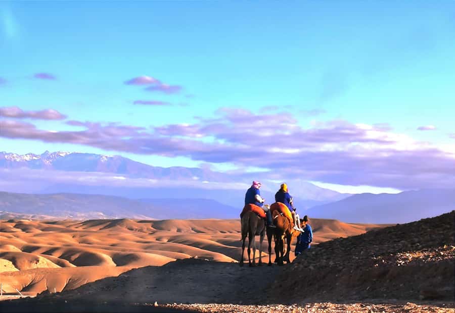Marrakech: Agafay Desert Quad, Camel or Pool Day with Lunch - Choosing Between the Quad-and-Camel Night Tour or the Pool-Only Day Pass