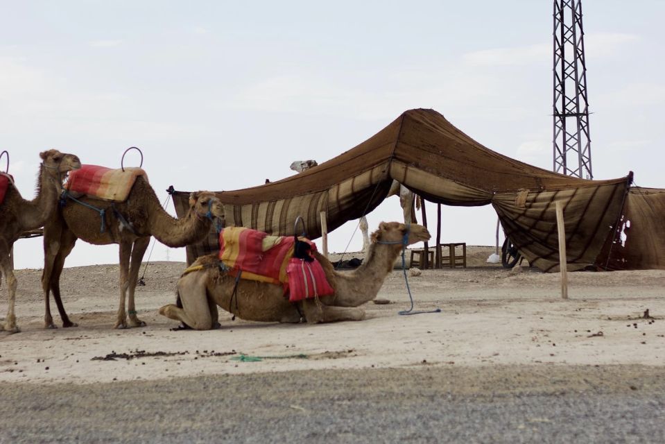 Marrakech: Agafay Desert Quad, Camel or Pool Day with Lunch - The Camp Pools and Lunch/Dinner: Where You Actually Catch Your Breath