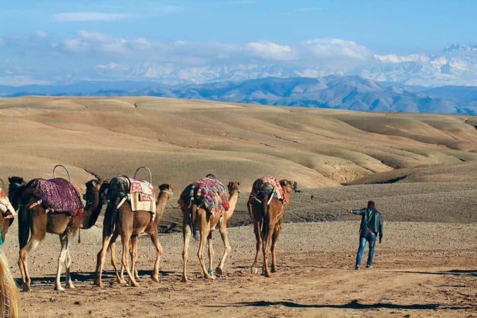 Marrakech: Agafay Desert Sunset, Camel Ride, Dinner and Show - Key moments worth planning for
