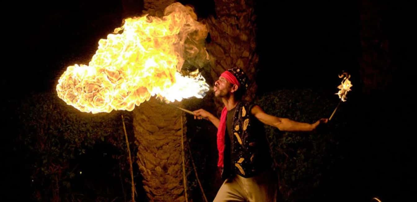 Marrakech: Agafay Desert Sunset, Camel Ride, Dinner and Show - Price and value: why about $17 can make sense