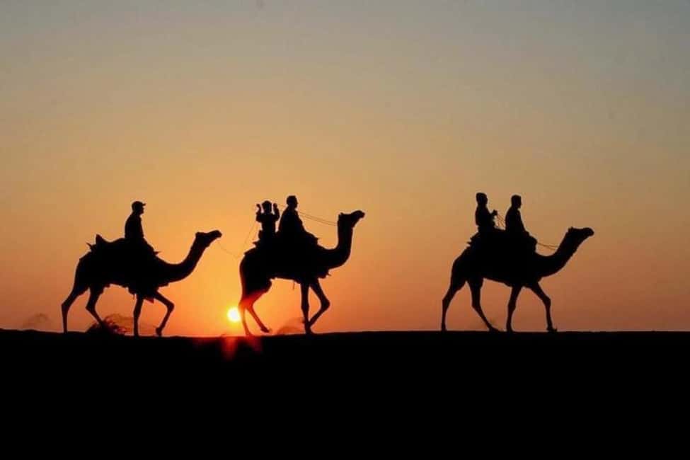 Marrakech: Agafay Desert Sunset, Camel Ride, Dinner and Show - Logistics you can plan around: timing, heat, and comfort