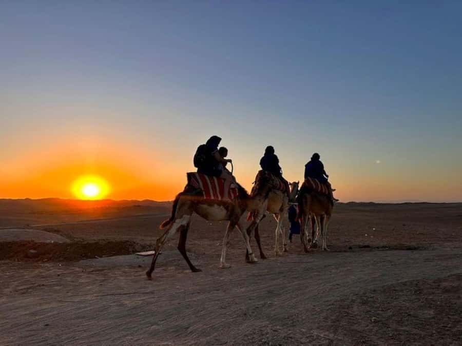 Marrakech: Agafay Desert Trip with Activities and Dinner - Quad biking in Agafay: 40 minutes of controlled adrenaline