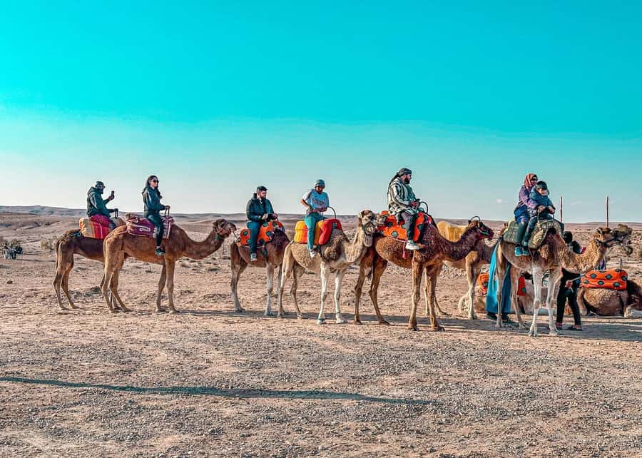 Marrakech: Agafay Dinner Show, Camel Ride, Quad, or Buggy - Practical tips so your night stays fun (not annoying)