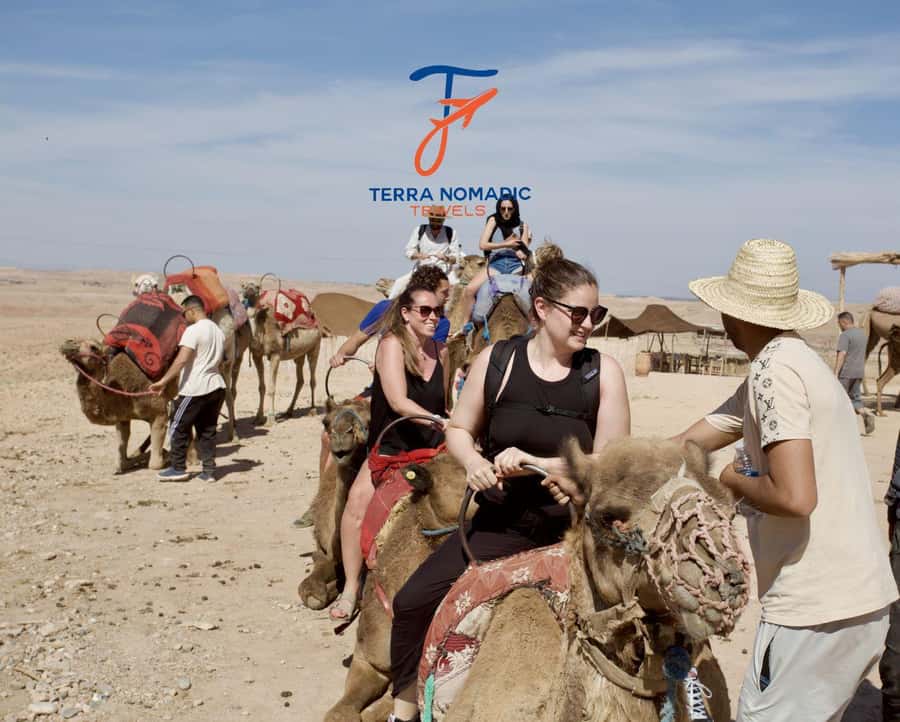 Marrakech: Agafay Dinner Show with Quad/Camel Ride and Pool - Optional camel ride at golden hour: slow, scenic, and guided