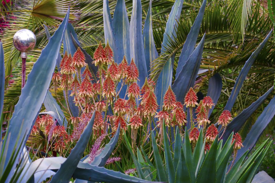 Marrakech: André Heller's ANIMA Garden Ticket - Who Should Book ANIMA (and Who Might Prefer Another Day Trip)
