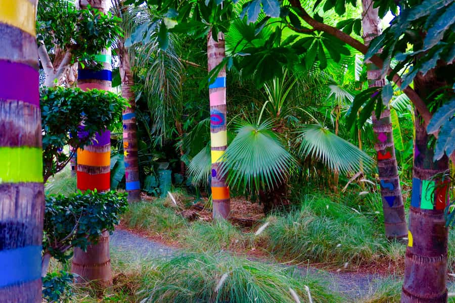 Marrakech: André Heller's ANIMA Garden Ticket - The Walk Itself: Shade, Sculptures, Hammocks, and Places to Sit