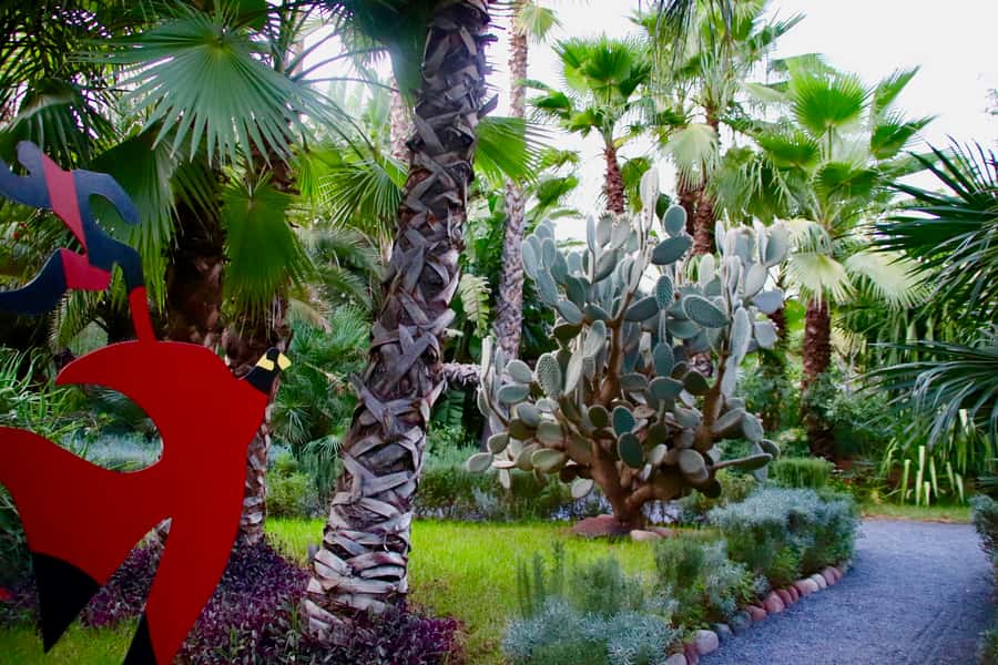 Marrakech: André Heller's ANIMA Garden Ticket - Food, Smoothies, and Lemonades: What to Expect at the Café