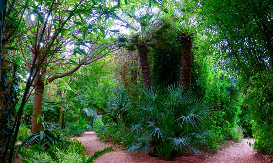 Marrakech: André Heller's ANIMA Garden Ticket - Price and Value: $16 for a Real Escape, Not Just Another Stop