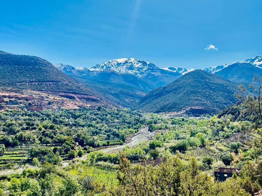 Marrakech: Atlas Mountain, Berber Villages, & Valleys Tour - If Your Trip Falls on Saturday, Don’t Miss the Berber Market Stop