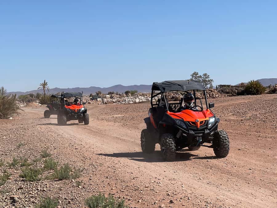Marrakech Buggy Palmerie and Desert - Key things to know before you go